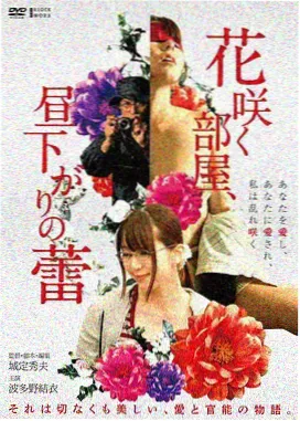 韩剧家庭与爱情题材档案封面